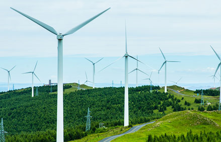 2025年公司组织员工在天际森谷团建,增加团队凝聚力